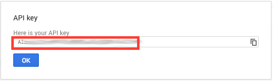 Copy and Paste your Google Maps API Key